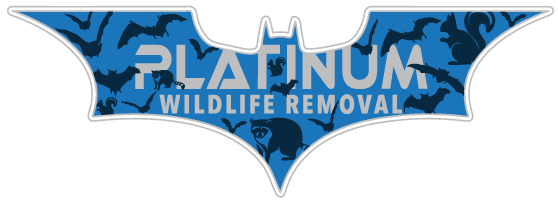 Animal Removal Huntington County